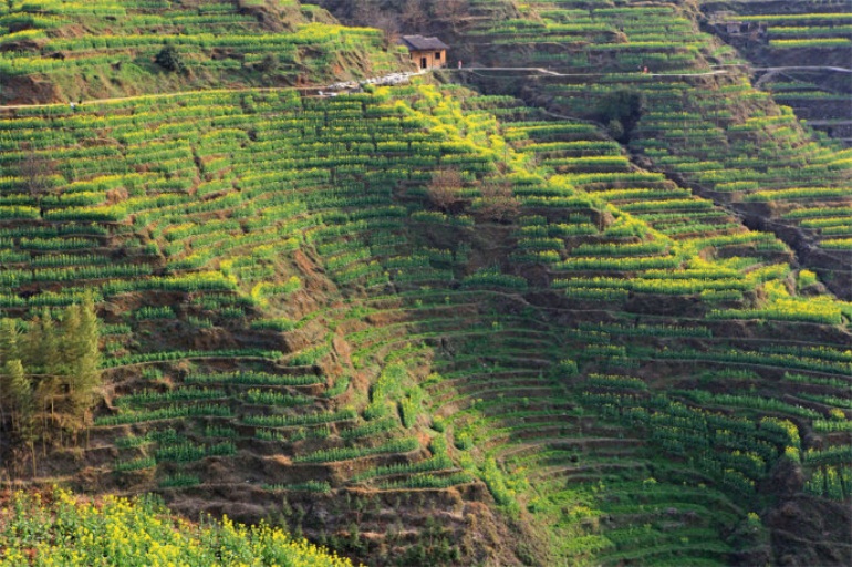 太阳成集团tyc7111cc