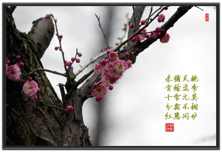 太阳成集团tyc7111cc