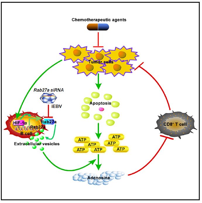 太阳成集团tyc7111cc