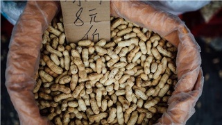 太阳成集团tyc7111cc