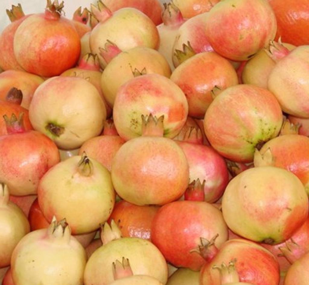 太阳成集团tyc7111cc