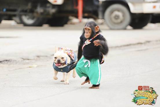 太阳成集团tyc7111cc