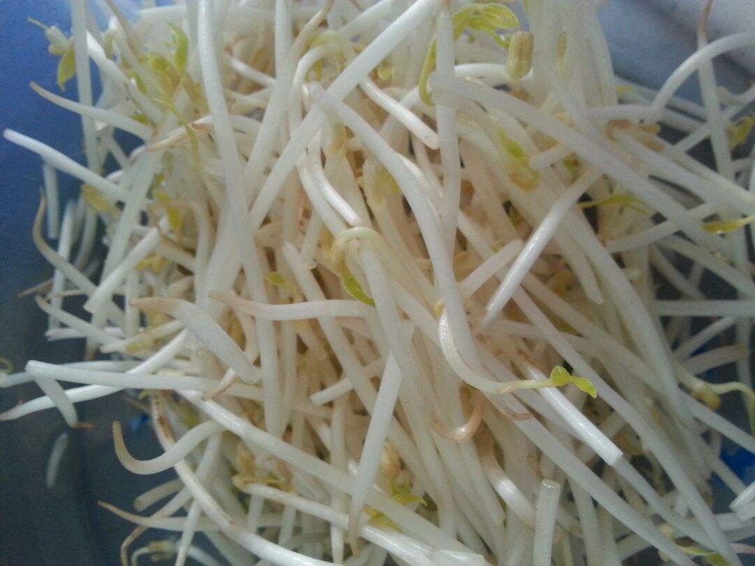 太阳成集团tyc7111cc