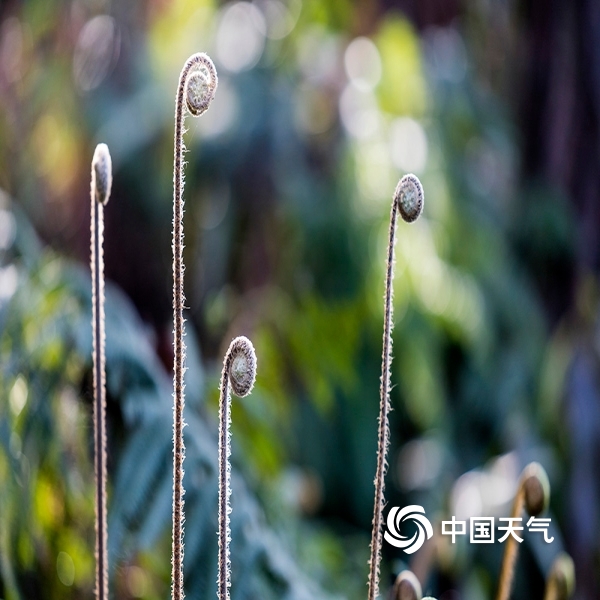 太阳成集团tyc7111cc_君澜酒店集团更名改制推出新品牌 今年再签酒店8家(图3) 太阳成集团tyc7111cc