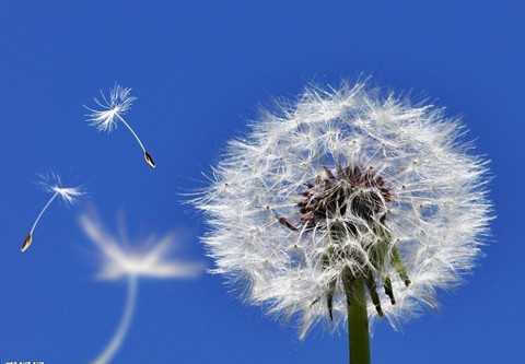 太阳成集团tyc7111cc_君澜酒店集团更名改制推出新品牌 今年再签酒店8家(图2) 太阳成集团tyc7111cc