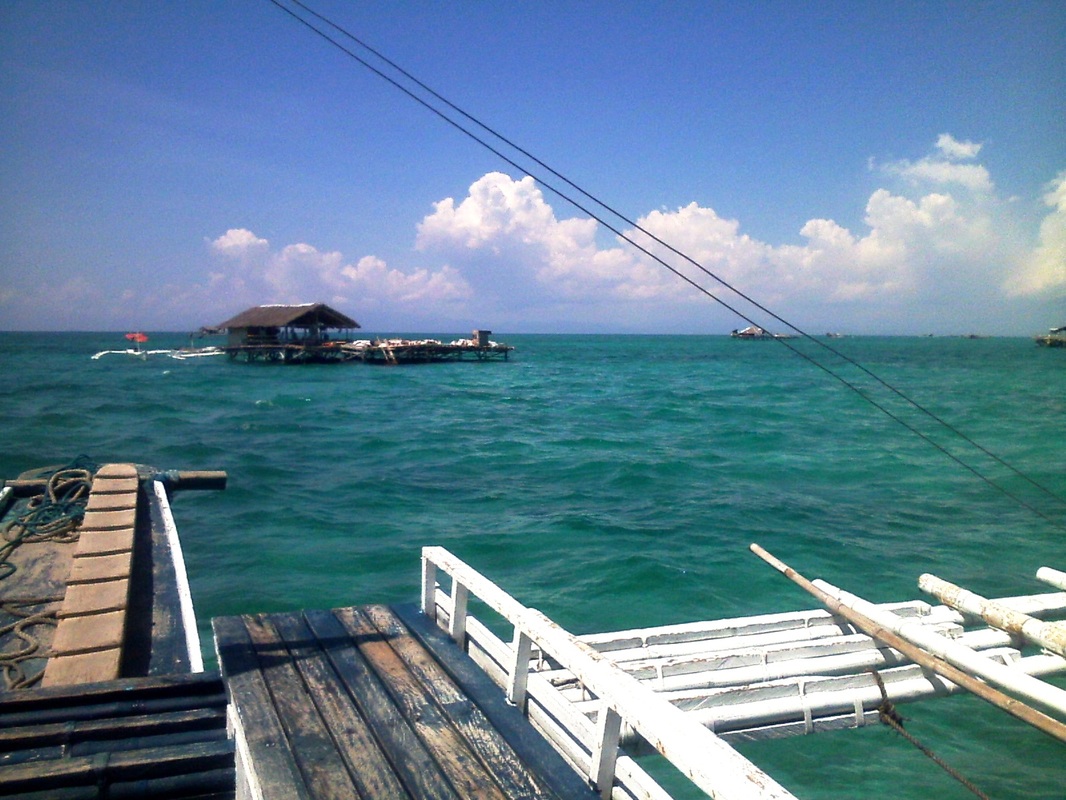 ‘太阳成集团tyc7111cc’新就业无房职工可申请公租房(图1) 太阳成集团tyc7111cc