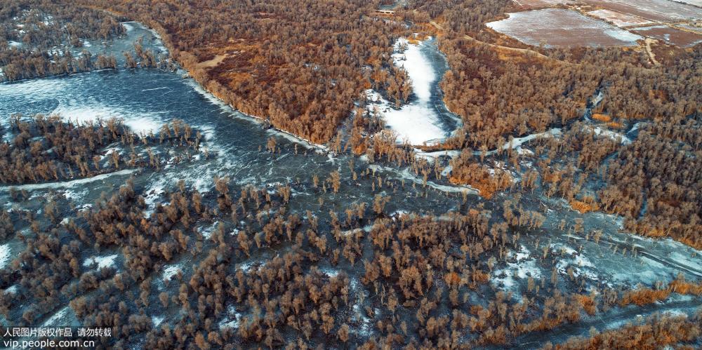 31条餐饮服务细节,决定餐厅生意好坏【太阳成集团tyc7111cc】(图3) 太阳成集团tyc7111cc