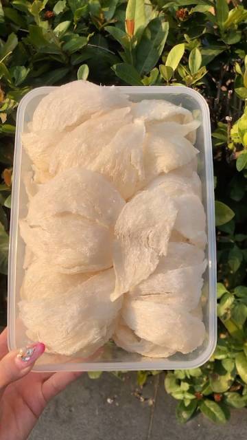 太阳成集团tyc7111cc