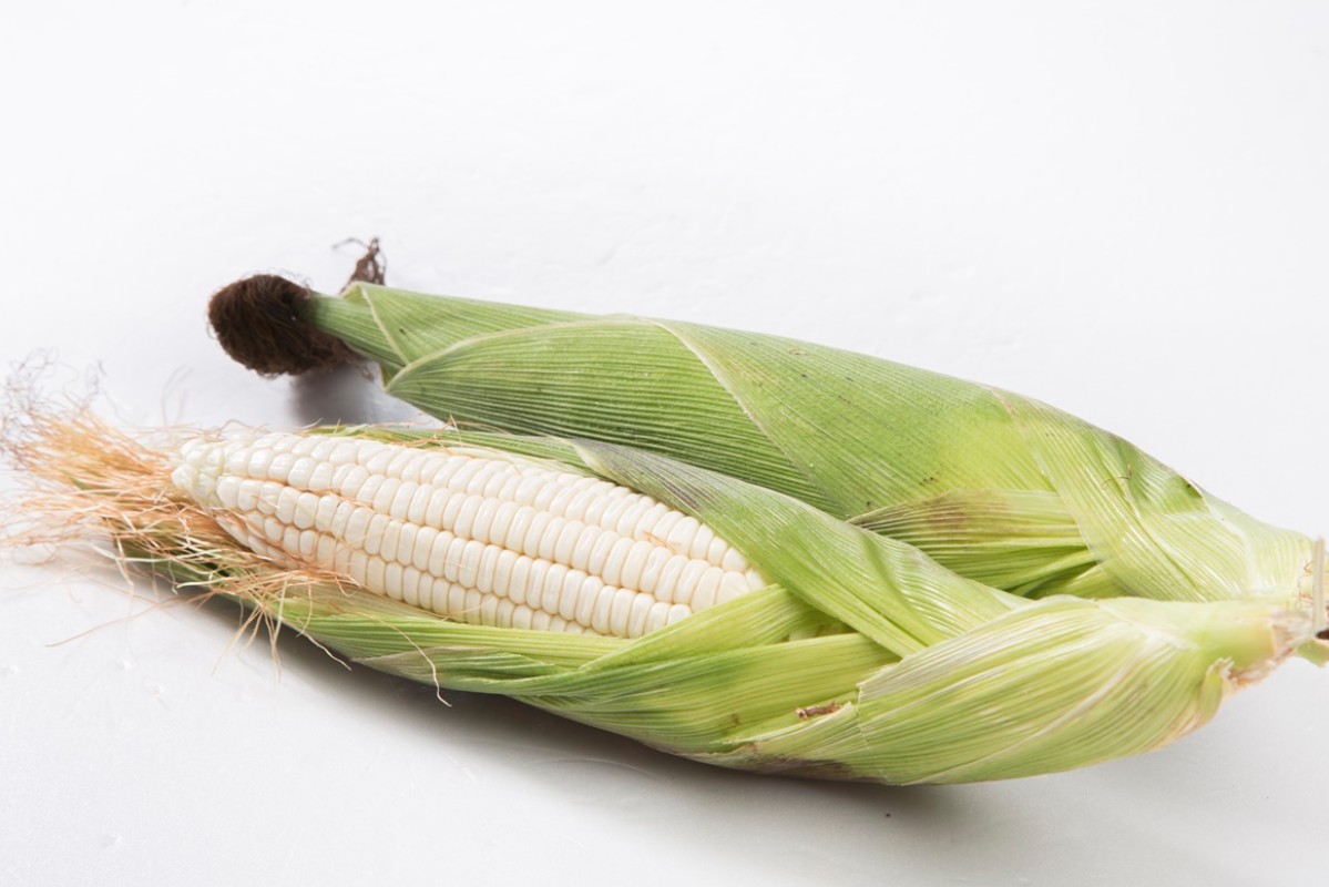 太阳成集团tyc7111cc