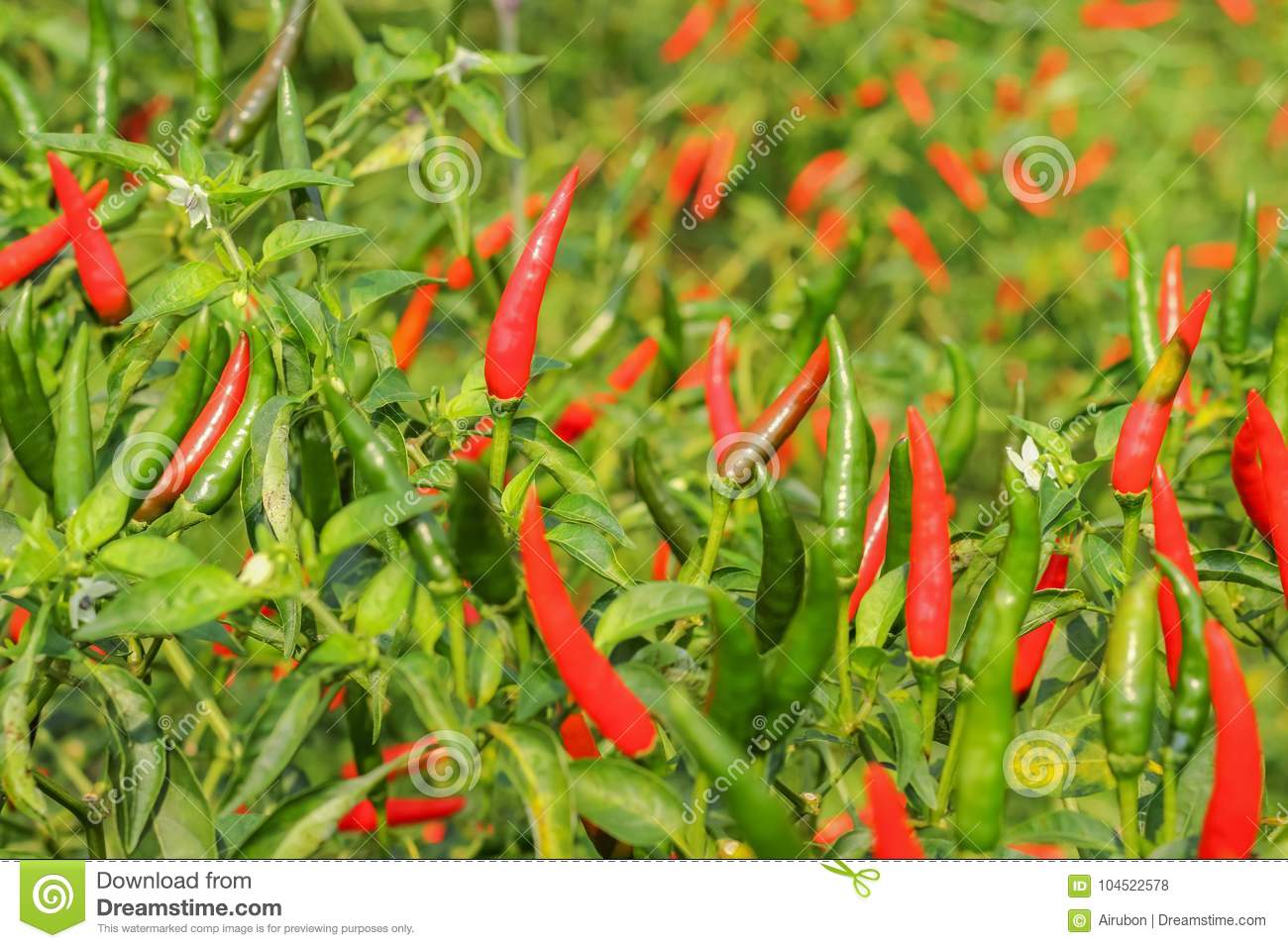 太阳成集团tyc7111cc