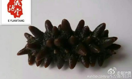 太阳成集团tyc7111cc