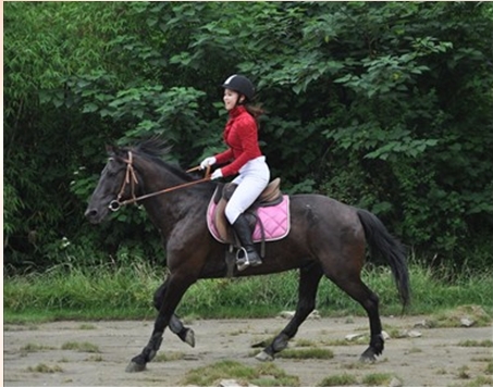 太阳成集团tyc7111cc