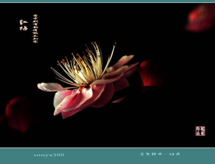 太阳成集团tyc7111cc