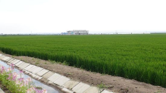 太阳成集团tyc7111cc