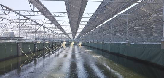 太阳成集团tyc7111cc