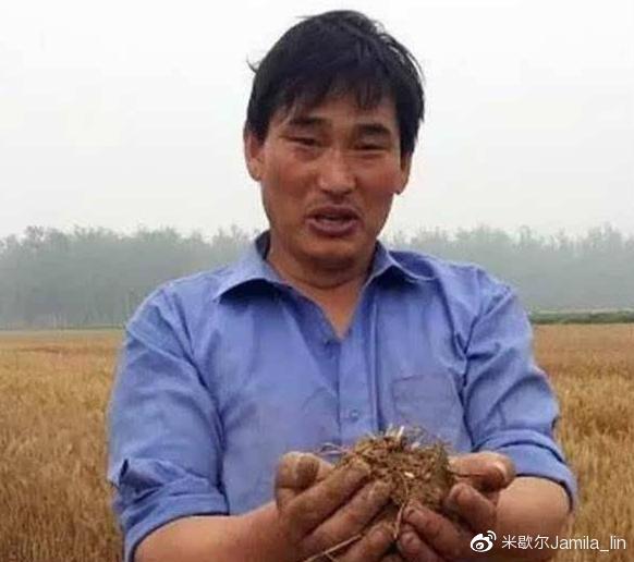 太阳成集团tyc7111cc