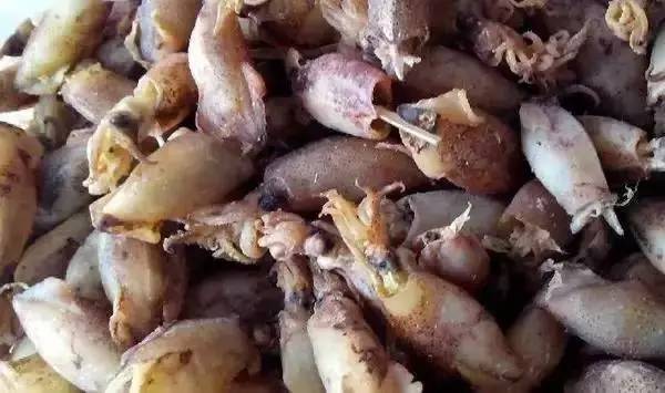 太阳成集团tyc7111cc